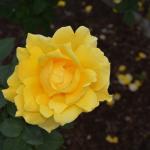 SpaceShuttle_0088 (March 22, 2014)